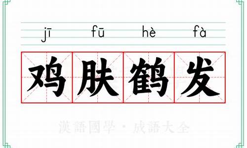 鹤发鸡皮表示什么生肖-鹤发鸡皮是什么意思啊