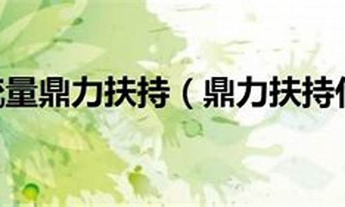 鼎力相助意思解释-鼎力相助意思