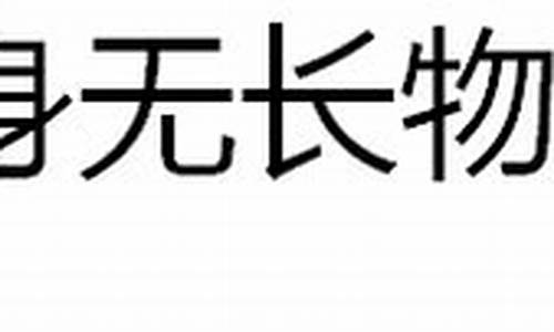 身无长物原文及翻译-身无长物这篇文言文的翻译