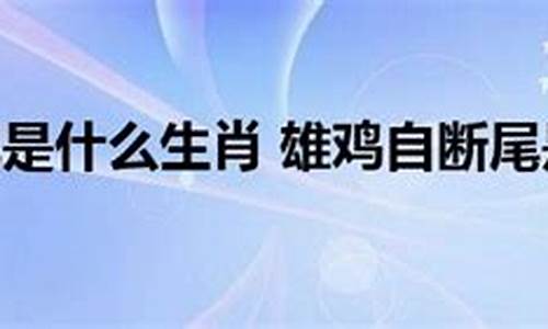 雄鸡断尾属什么生肖呢-雄鸡断尾文言文翻译