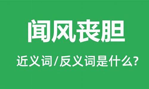 闻风丧胆是什么意思代表什么动物-闻风丧胆是什么意思