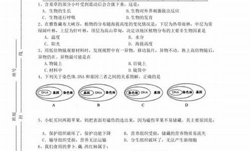 神来之笔的意思和造句二年级-神来之笔的意思和造句