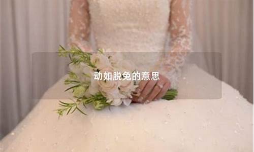 动如脱兔造句子-动如脱兔的意思和造句