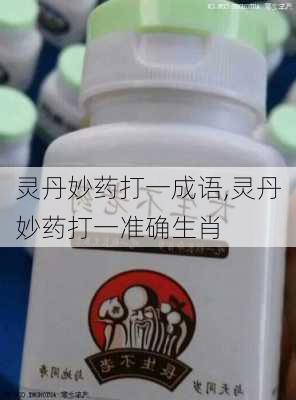 灵丹妙药打一成语,灵丹妙药打一准确生肖