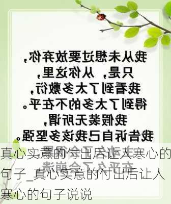 真心实意的付出后让人寒心的句子_真心实意的付出后让人寒心的句子说说