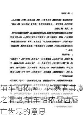 辅车相依唇亡齿寒者其虞之谓也,辅车相依唇齿唇亡齿寒的意思