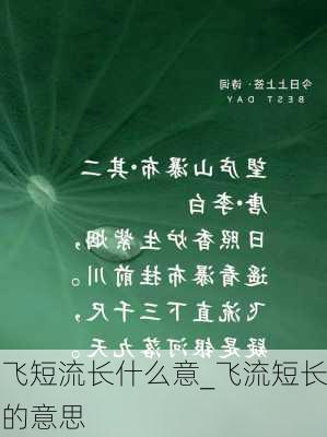 飞短流长什么意_飞流短长的意思