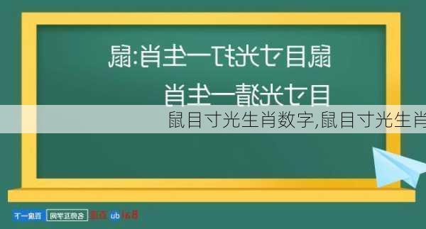 鼠目寸光生肖数字,鼠目寸光生肖