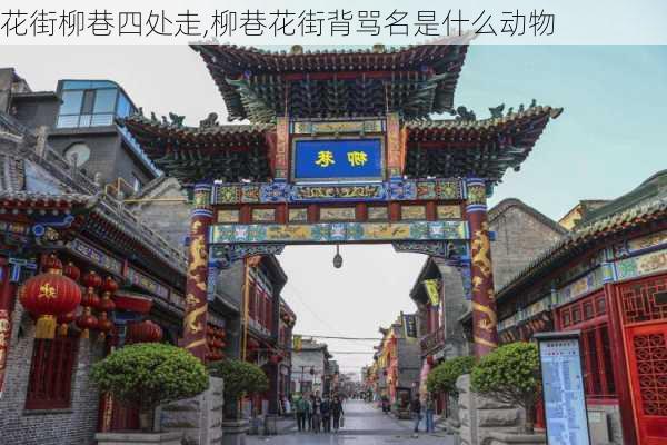 花街柳巷四处走,柳巷花街背骂名是什么动物