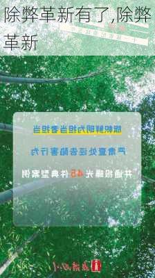 除弊革新有了,除弊革新