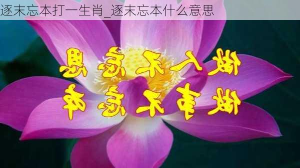 逐末忘本打一生肖_逐末忘本什么意思