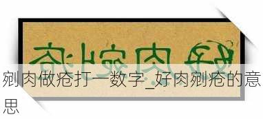 剜肉做疮打一数字_好肉剜疮的意思