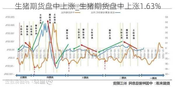 生猪期货盘中上涨_生猪期货盘中上涨1.63%