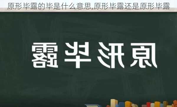 原形毕露的毕是什么意思,原形毕露还是原形毕露