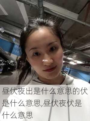 昼伏夜出是什么意思的伏是什么意思,昼伏夜伏是什么意思