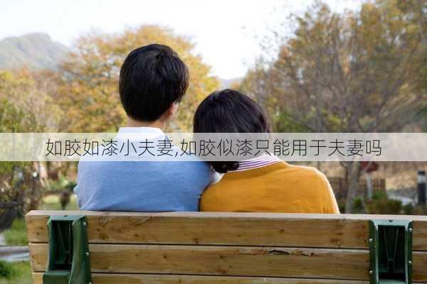 如胶如漆小夫妻,如胶似漆只能用于夫妻吗