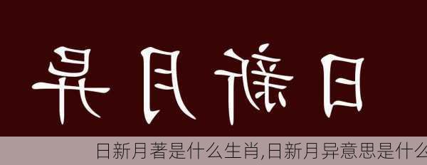 日新月著是什么生肖,日新月异意思是什么