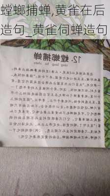 螳螂捕蝉,黄雀在后造句_黄雀伺蝉造句