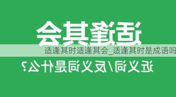 适逢其时适逢其会_适逢其时是成语吗