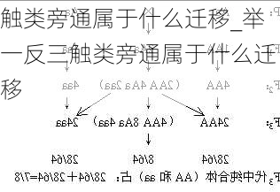 触类旁通属于什么迁移_举一反三触类旁通属于什么迁移