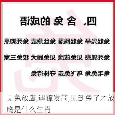 见兔放鹰,遇獐发箭,见到兔子才放鹰是什么生肖