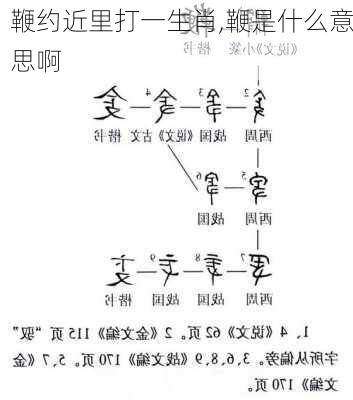 鞭约近里打一生肖,鞭是什么意思啊