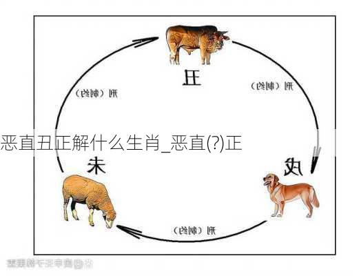 恶直丑正解什么生肖_恶直(?)正