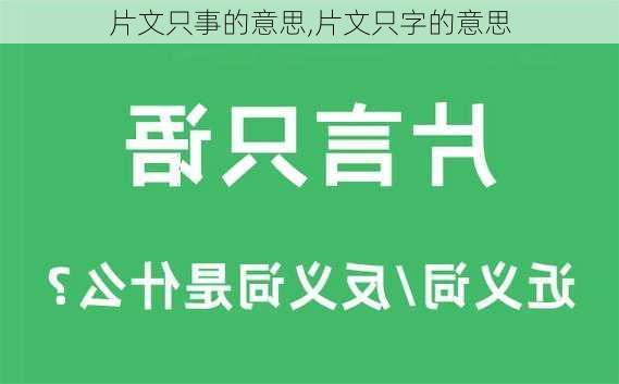 片文只事的意思,片文只字的意思