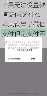 苹果无法设置微信支付,为什么苹果设置了微信支付但是支付不了