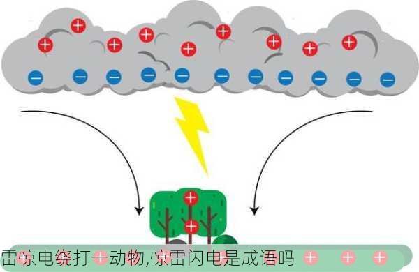 雷惊电绕打一动物,惊雷闪电是成语吗