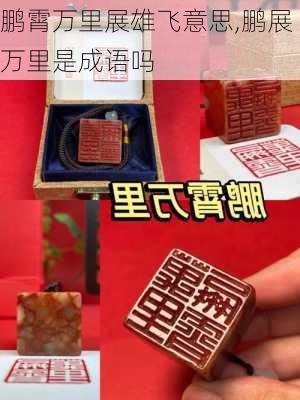 鹏霄万里展雄飞意思,鹏展万里是成语吗