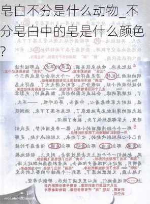 皂白不分是什么动物_不分皂白中的皂是什么颜色?