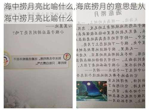 海中捞月亮比喻什么,海底捞月的意思是从海中捞月亮比喻什么