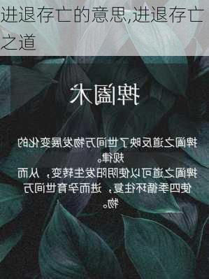 进退存亡的意思,进退存亡之道