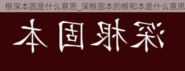 根深本固是什么意思_深根固本的根和本是什么意思