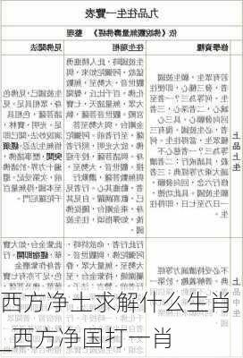 西方净土求解什么生肖_西方净国打一肖