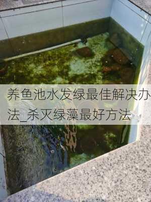 养鱼池水发绿最佳解决办法_杀灭绿藻最好方法