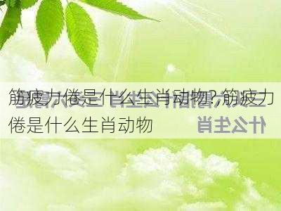 筋疲力倦是什么生肖动物?,筋疲力倦是什么生肖动物