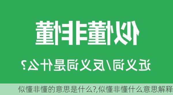 似懂非懂的意思是什么?,似懂非懂什么意思解释