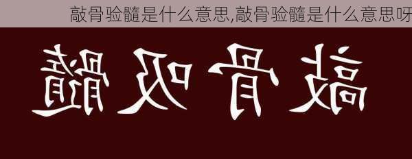 敲骨验髓是什么意思,敲骨验髓是什么意思呀