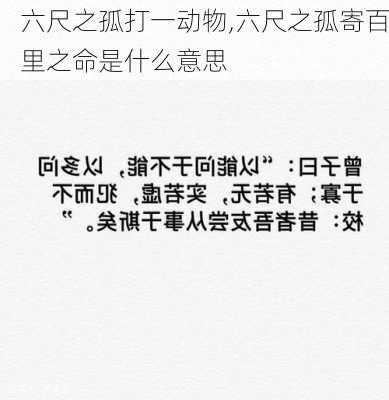 六尺之孤打一动物,六尺之孤寄百里之命是什么意思