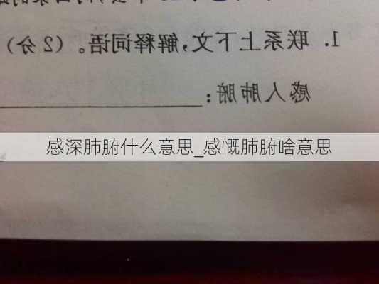 感深肺腑什么意思_感慨肺腑啥意思