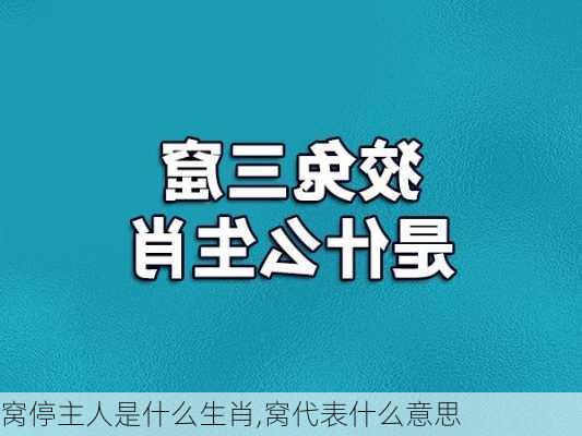 窝停主人是什么生肖,窝代表什么意思