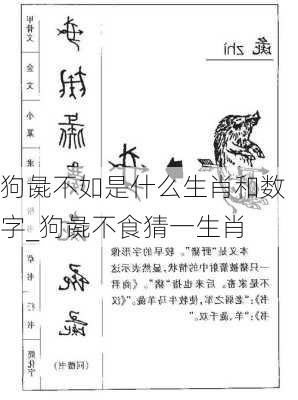 狗彘不如是什么生肖和数字_狗彘不食猜一生肖