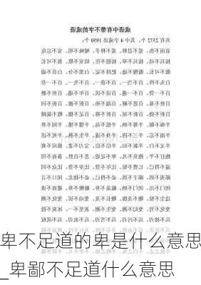 卑不足道的卑是什么意思_卑鄙不足道什么意思