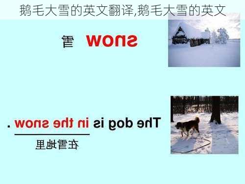 鹅毛大雪的英文翻译,鹅毛大雪的英文