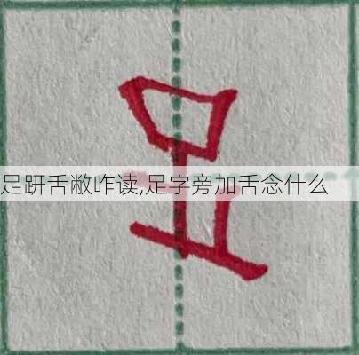 足趼舌敝咋读,足字旁加舌念什么