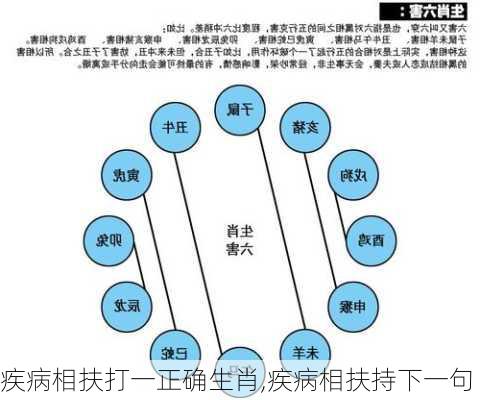 疾病相扶打一正确生肖,疾病相扶持下一句