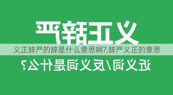 义正辞严的辞是什么意思啊?,辞严义正的意思