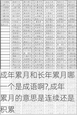 成年累月和长年累月哪一个是成语啊?,成年累月的意思是连续还是积累